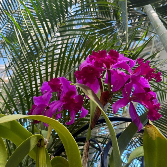 Meet your Posher, Leah - Picture 1 of 1